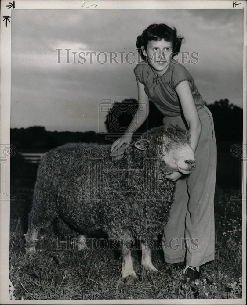 1950 Press Photo Champion Ram Michigan State Fair girl - Historic Images