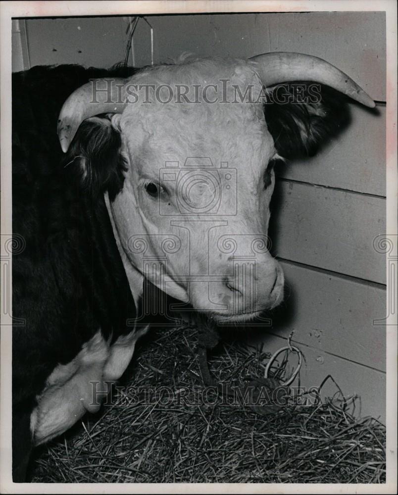 1965 Press Photo Michigan State Fair - Historic Images