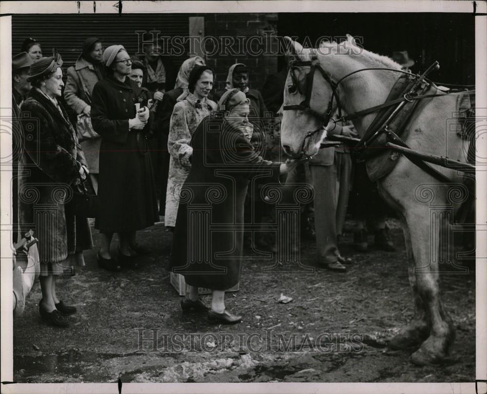 1951 Press Photo Michigan Humane Society - Historic Images