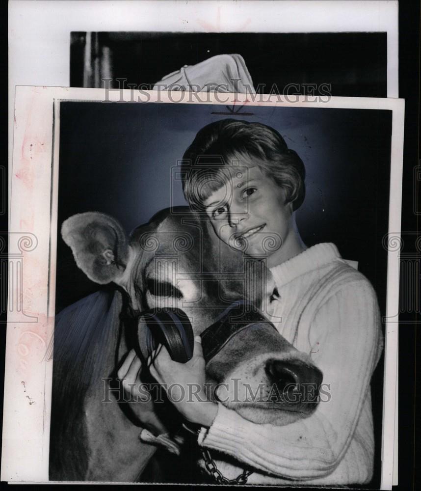 1967 Press Photo Kathleen Dunkle Livestock auction lamb - Historic Images