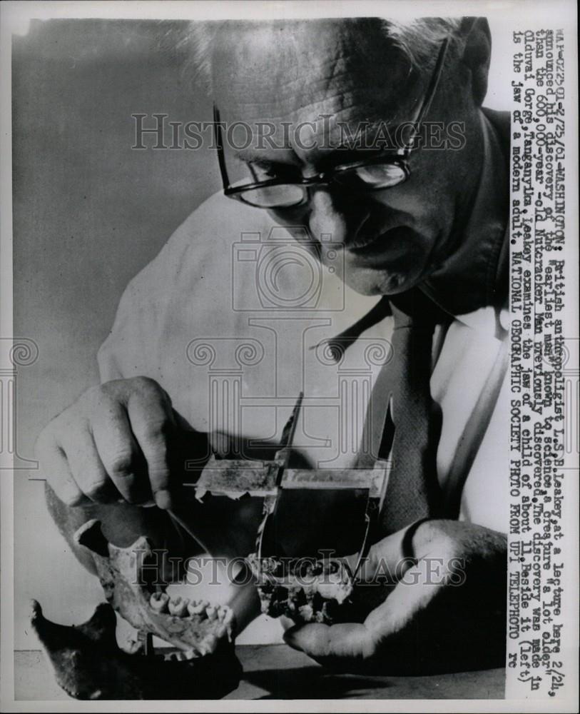 1961 Press Photo British anthropologist Leakey Discover - Historic Images