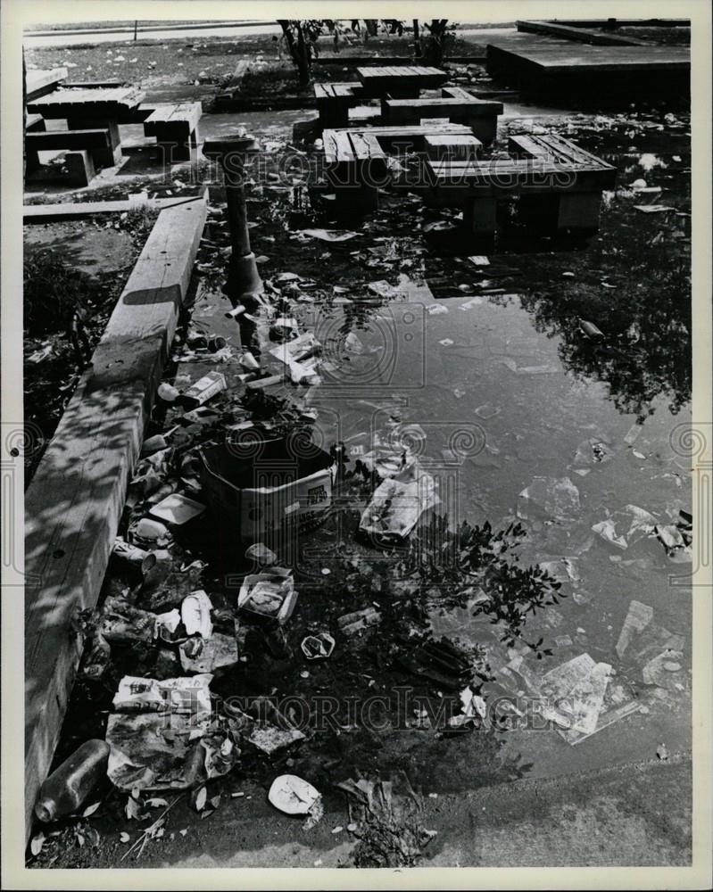 1980 Press Photo Litter Detroit Park Davenport MIchigan - Historic Images