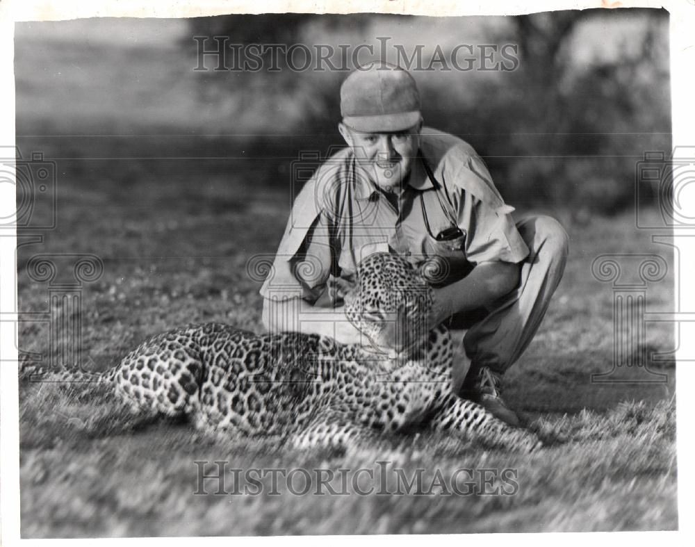 1958 Press Photo Leopard Capture - Historic Images