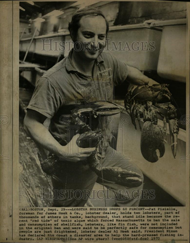 1972 Press Photo Pat Pisielle lobster red tide Boston - Historic Images