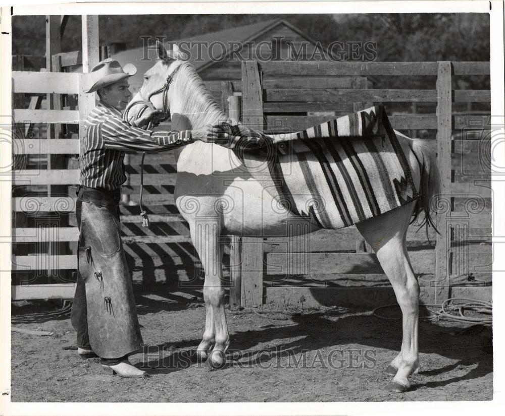 1953 Press Photo Sacking Out filly wild horse blanket - Historic Images