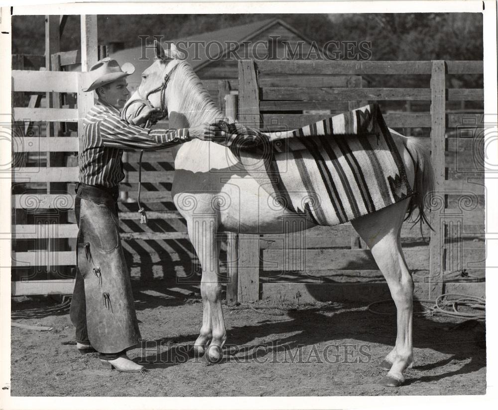 Sacking Out filly wild horse blanket 1953 Vintage Press Photo Print ...