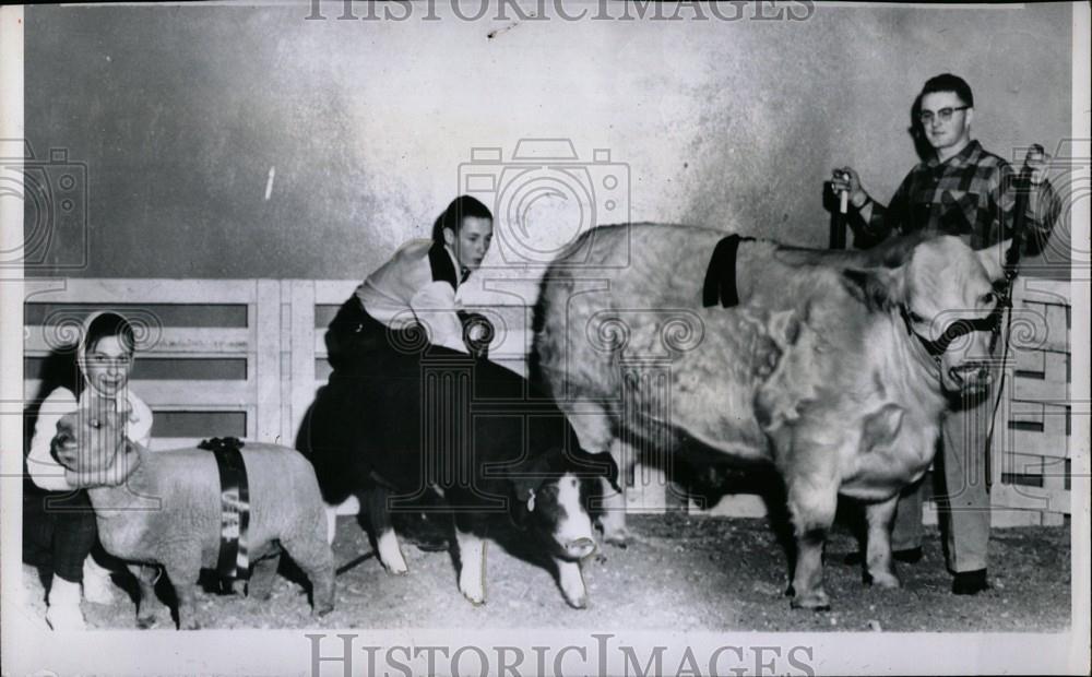 1960 Press Photo The Champion, West Michigan Livestock - Historic Images