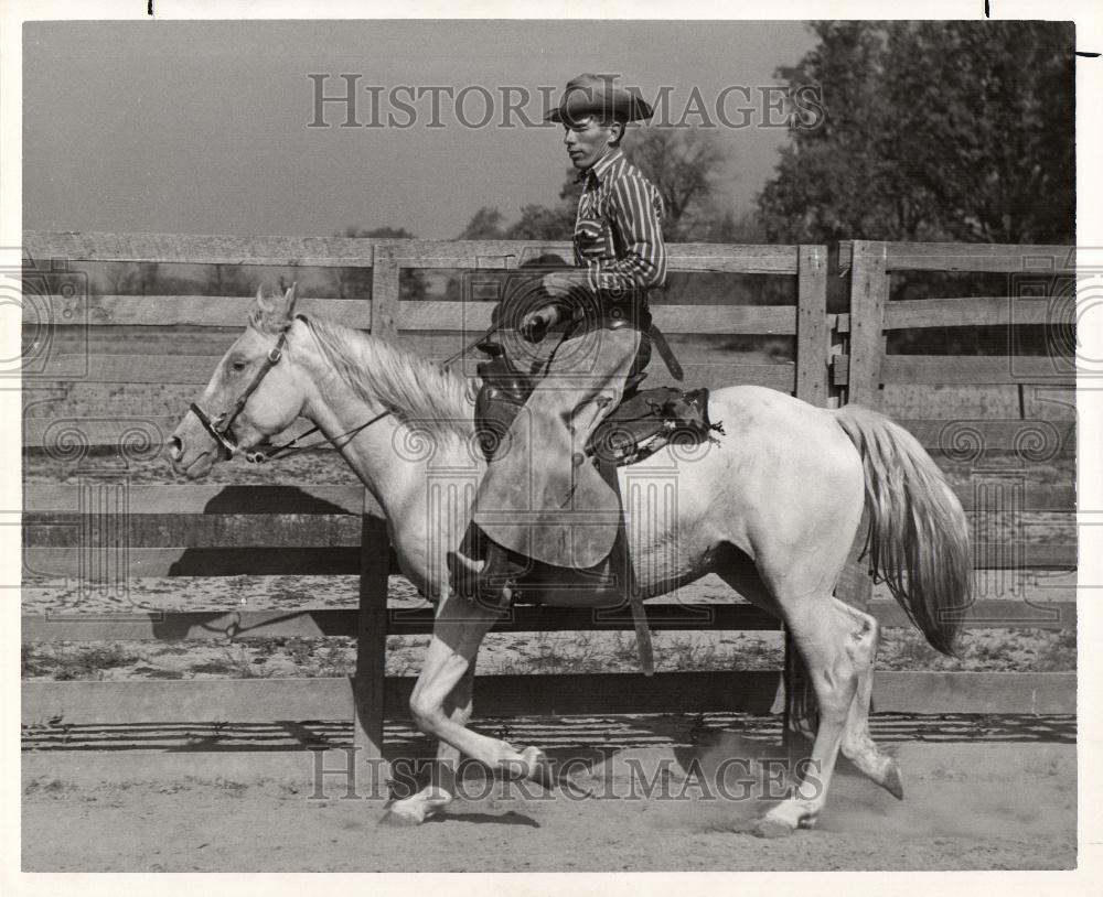 1953 Press Photo Horse training bronc Lazy B breaking - Historic Images