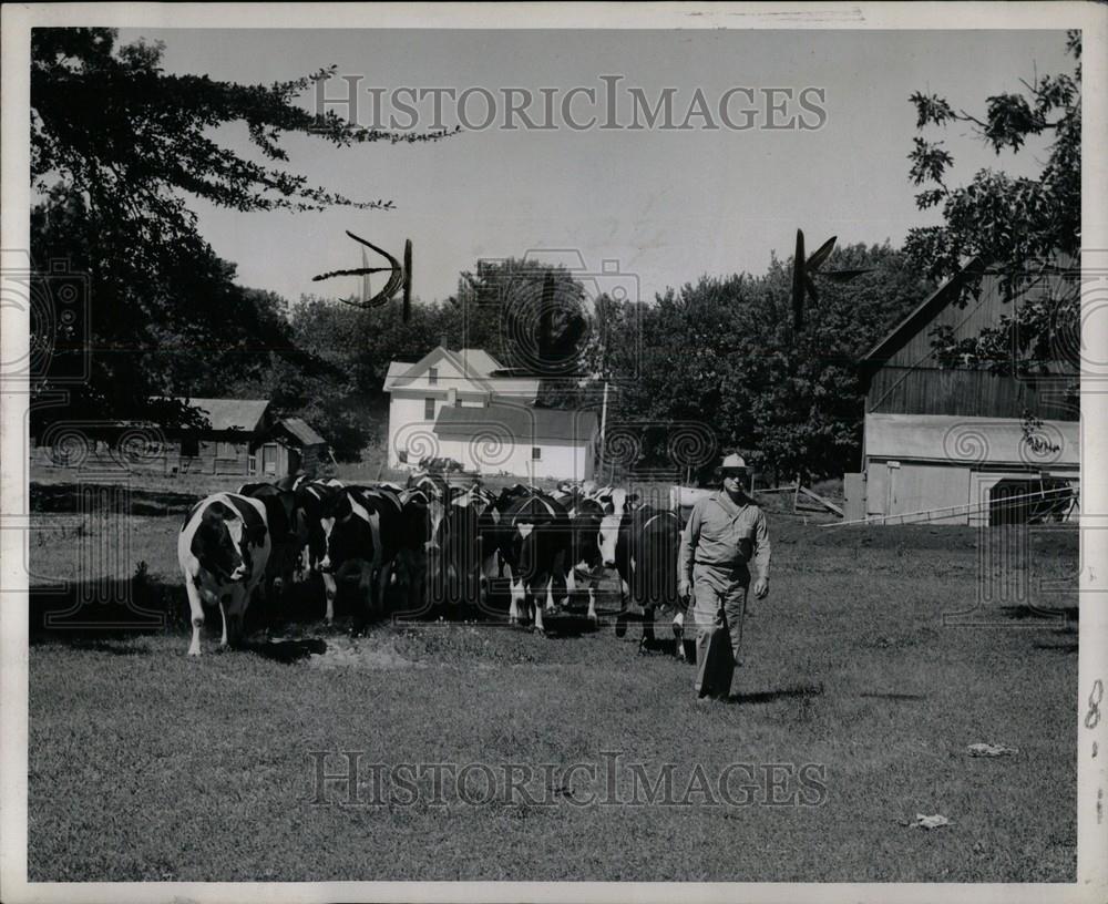 1952 Press Photo Michigan farmers men animals - Historic Images