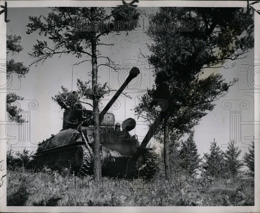 1950 Press Photo 425th Heavy Tank Company trees down - Historic Images