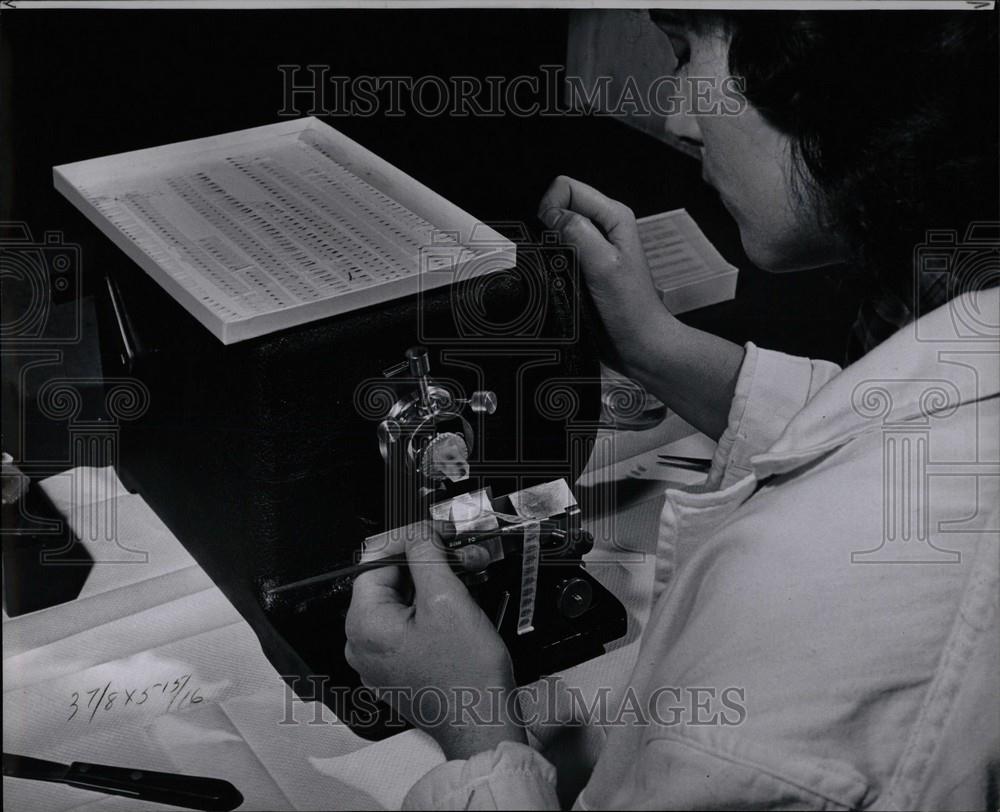 1951 Press Photo Michigan scientific Division - Historic Images