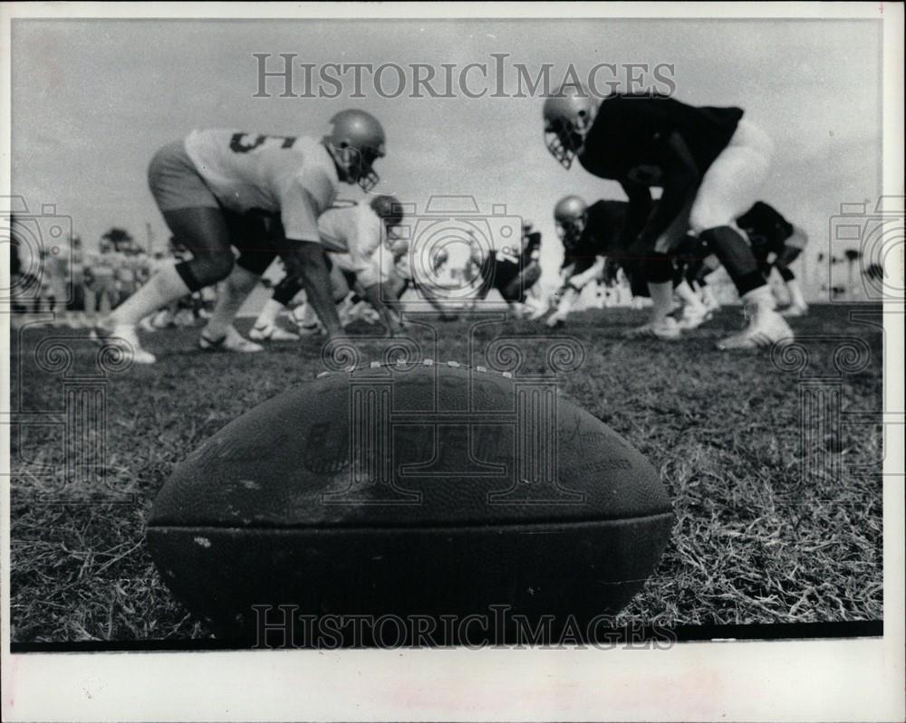 1983 Press Photo Panthers were a professional American - Historic Images