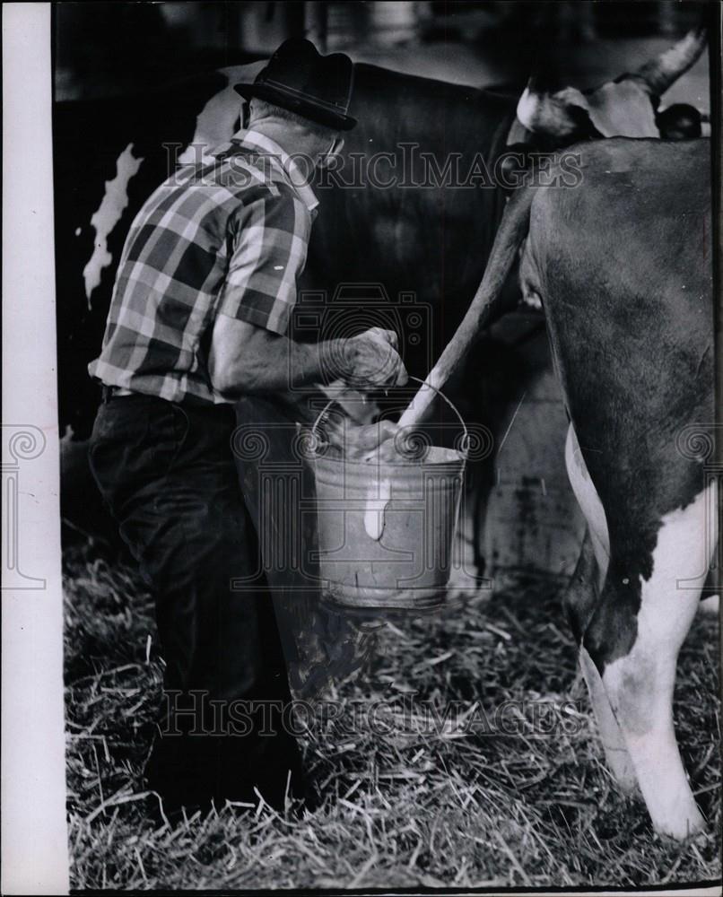 1969 Press Photo Michigan State Fair Cow - Historic Images