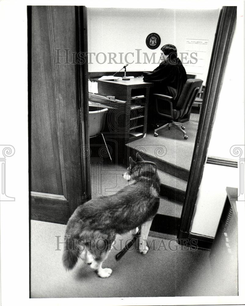 1985 Press Photo Major Leader Dogs Blind Craig Alston - Historic Images