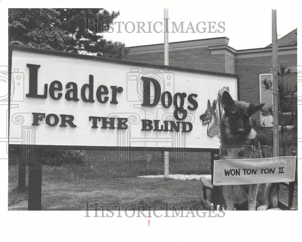 1976 Press Photo Leader Dogs For The Blind - Historic Images