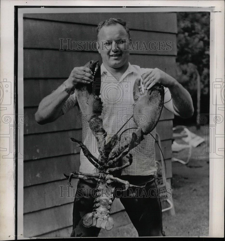 1961 Press Photo Lobster - Historic Images