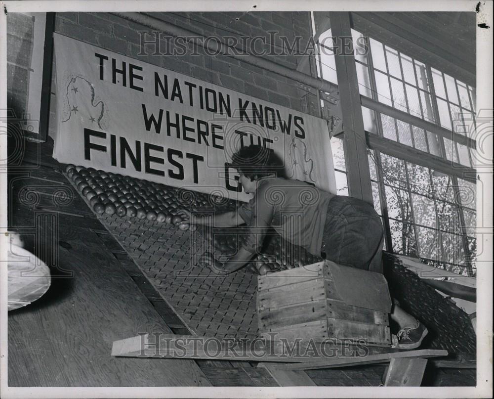 1960 Press Photo Michigan State Fair fruit mosaic - Historic Images