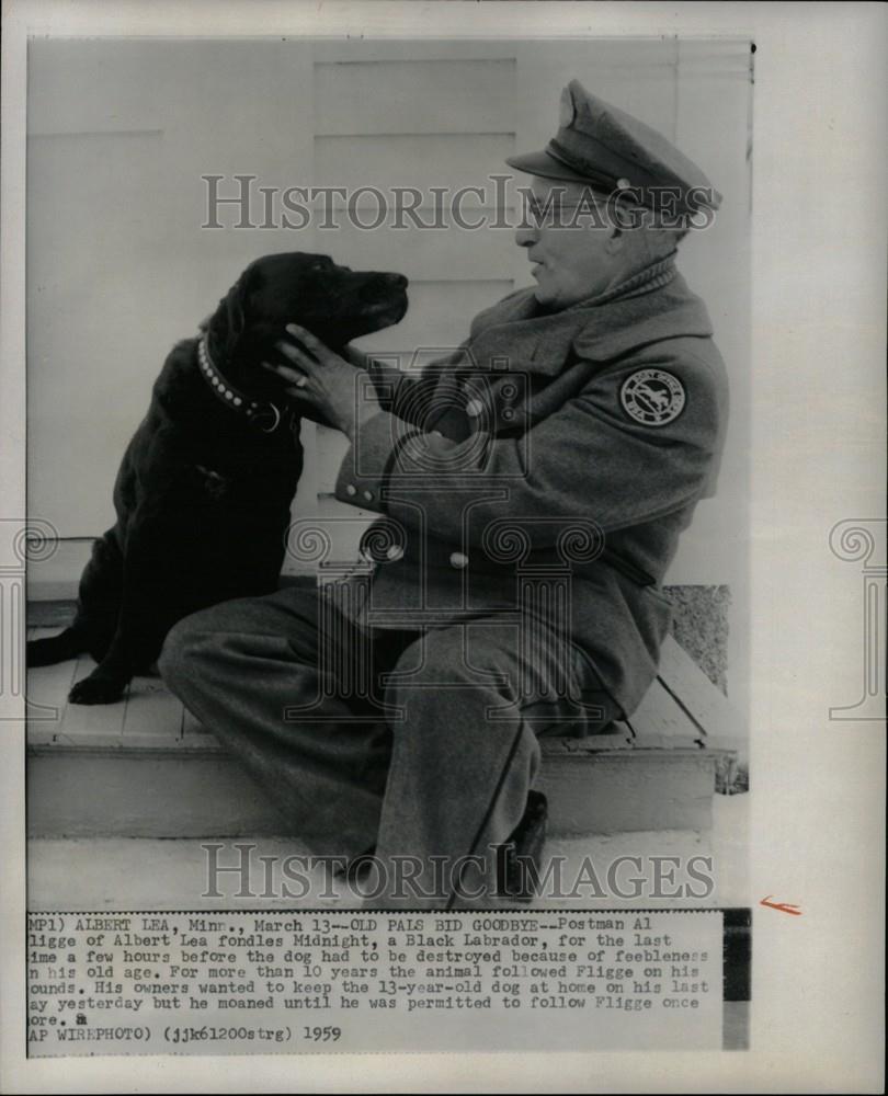 1959 Press Photo al fligge black labrador destroyed - Historic Images