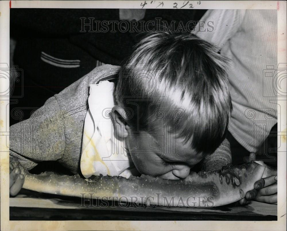 1965 Press Photo Randy Springfield Michigan State Fair - Historic Images