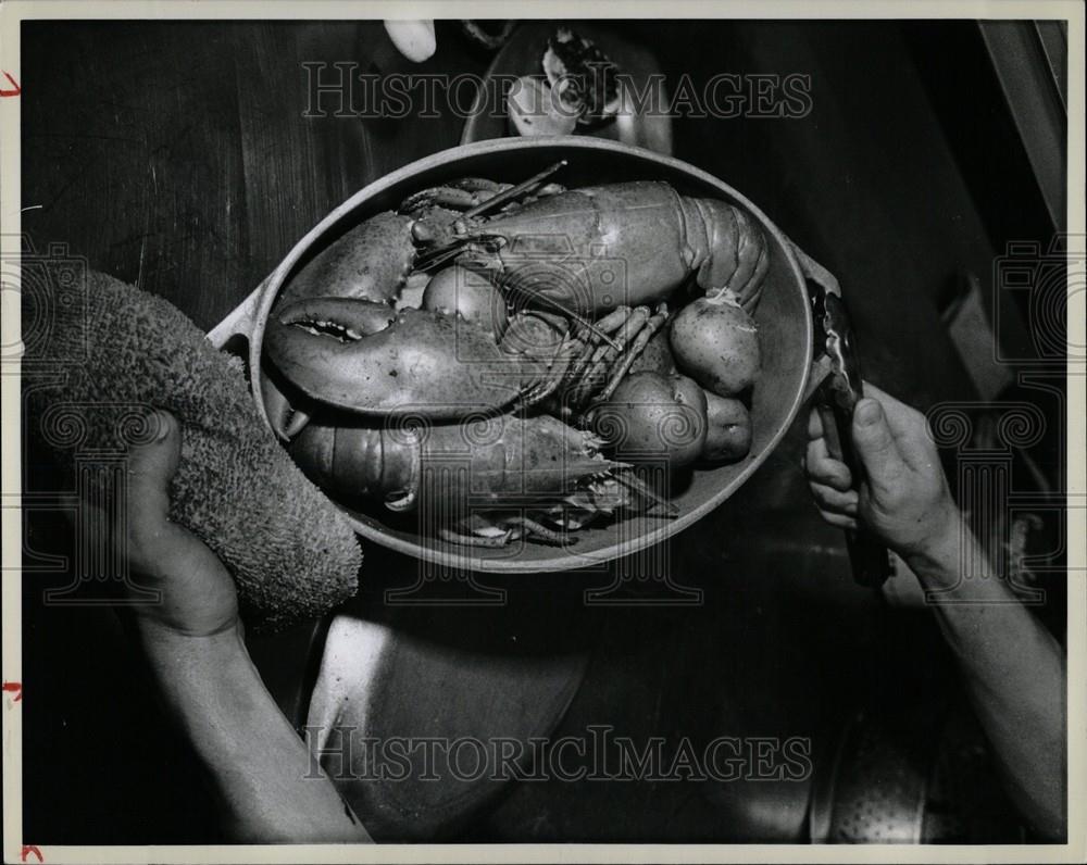 1979 Press Photo Clawed lobsters comprise a family - Historic Images