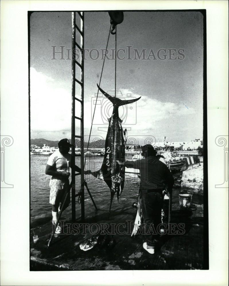 1992 Press Photo Copy Slides Mazatlan Mexican - Historic Images