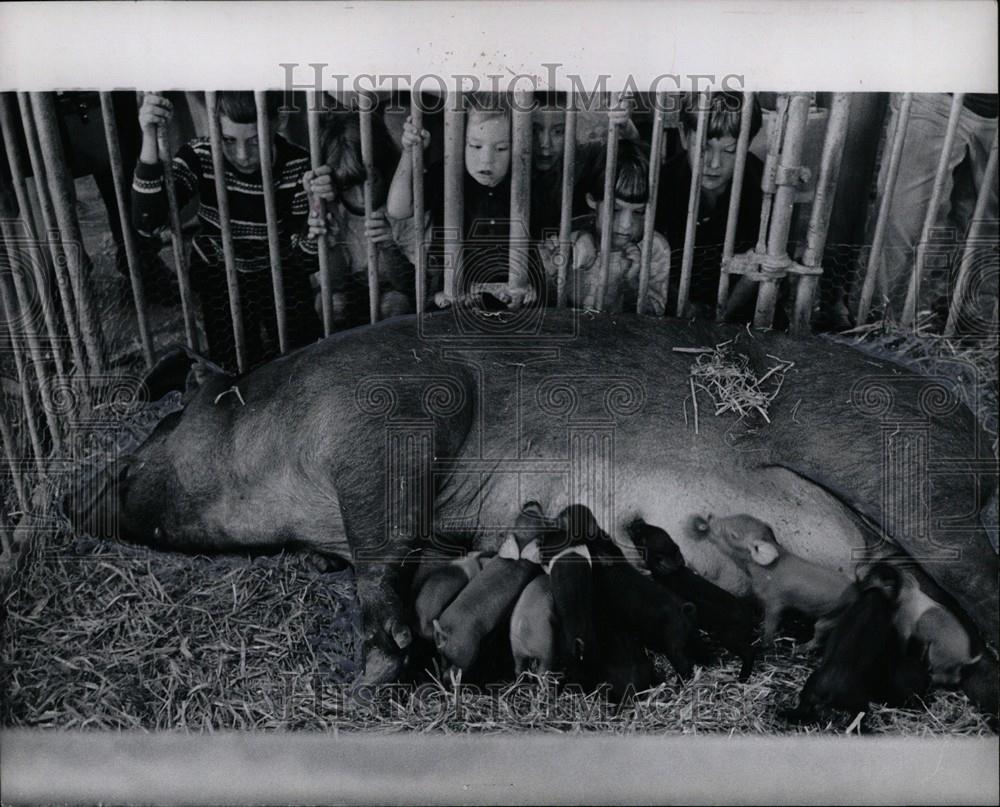 1968 Press Photo Michigan State Fair Nike Fleming. - Historic Images