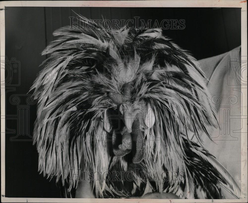 1967 Press Photo Michigan State Fair - Historic Images