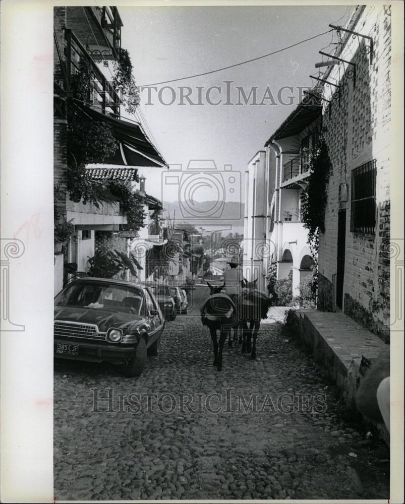 1979 Press Photo donkey modern Automobiles Mexican - Historic Images