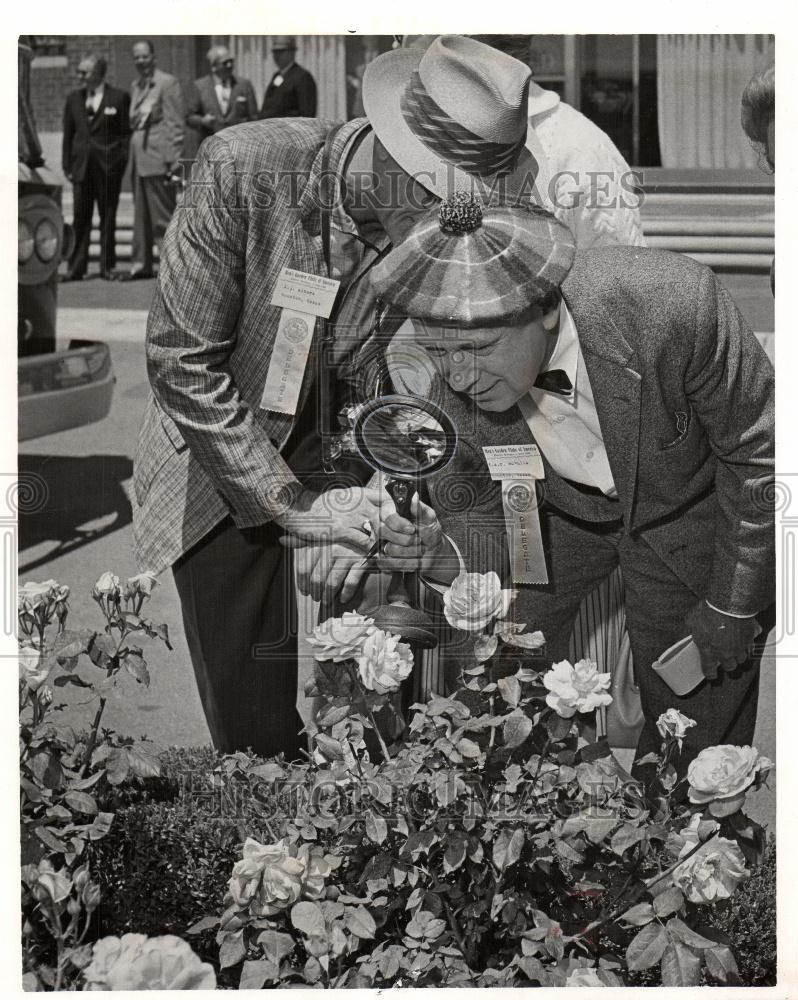 1967 Press Photo Florist Mcculla peers at Fashion roses - Historic Images