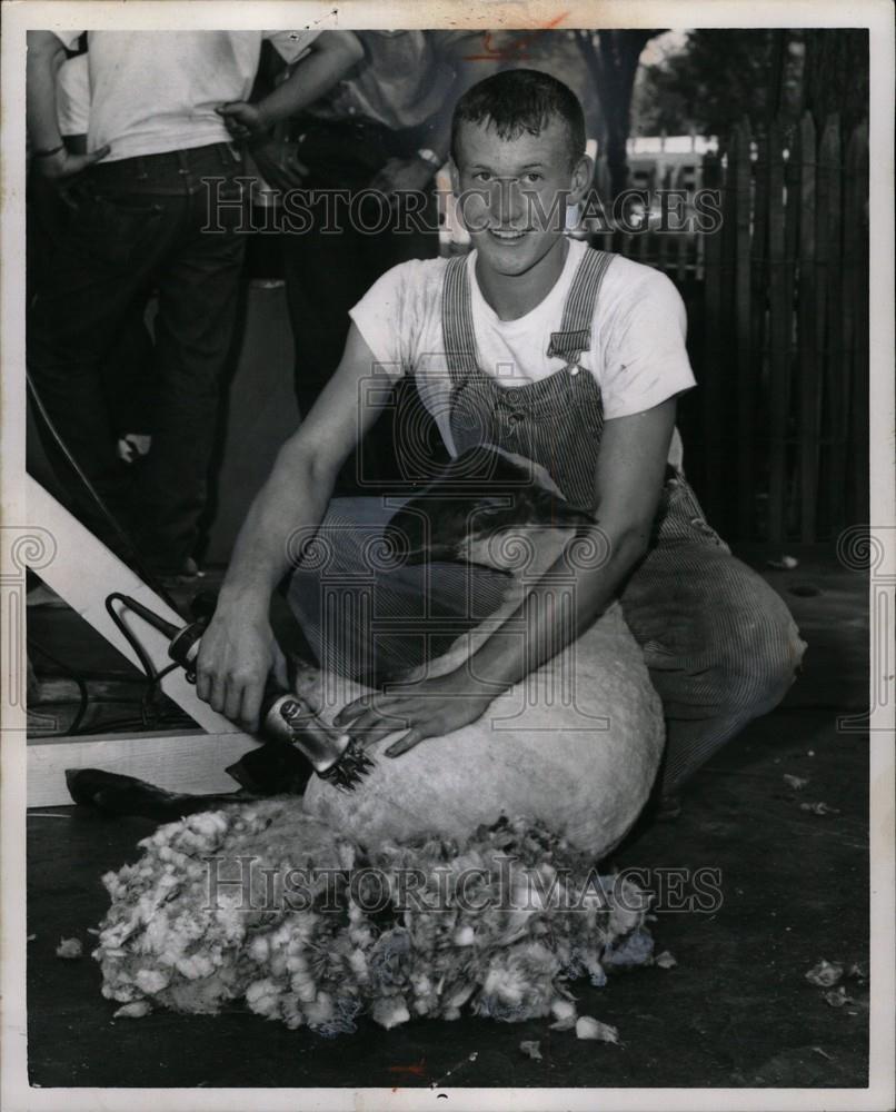 1961 Press Photo George Good Michigan State Fair Sheep - Historic Images