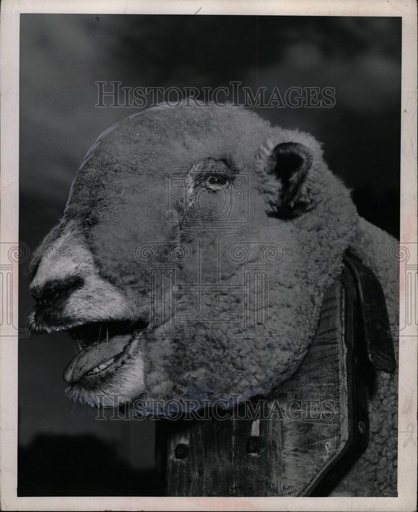 1967 Press Photo Michigan State Fair - Historic Images