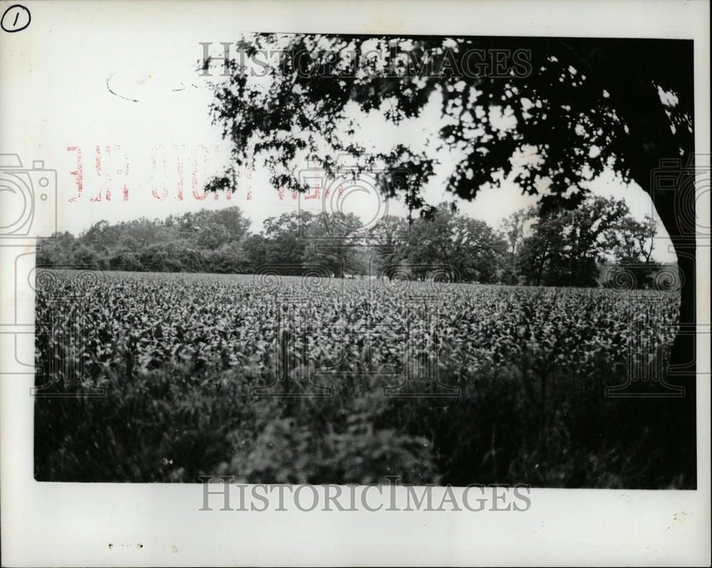 1976 Press Photo Michigan Scenic - Historic Images