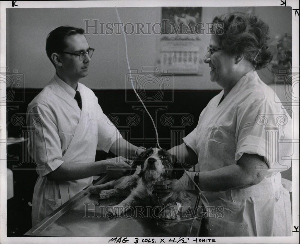 1955 Press Photo Michigan Humane Society - Historic Images