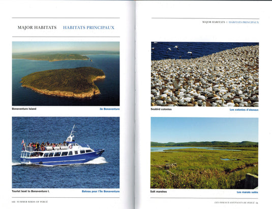 Signed Limited Edition: Summer Birds of Percé/Les Oiseaux Estivants de Percé