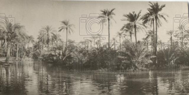 Press Photo Tigris Euphrates Garden Eden photo - Historic Images