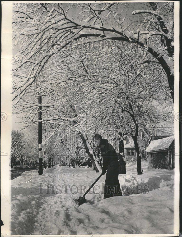 1962 Press Photo Back Breaking beauty Tufts snow twig - RRV61051 - Historic Images