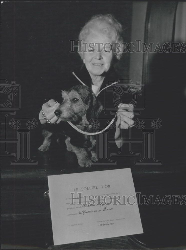 Press Photo Dog show - KSC19267 - Historic Images