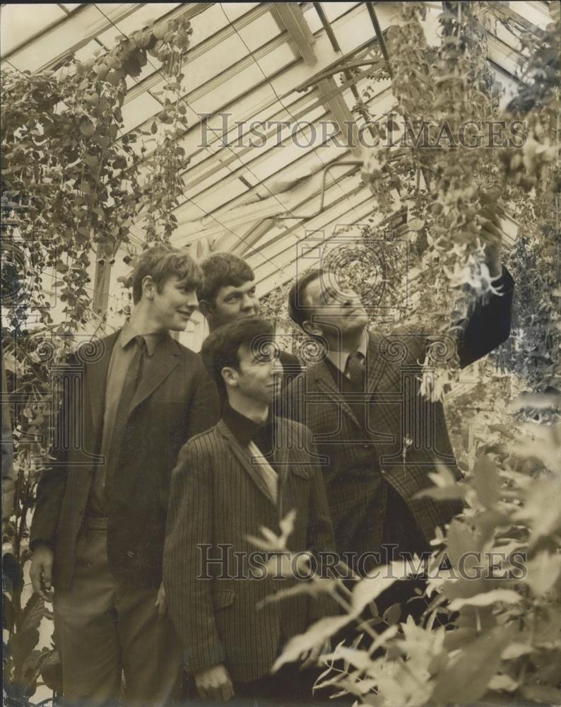 1968 Press Photo Mr. Stevenson, the head gardener,in greenhouse - Historic Images