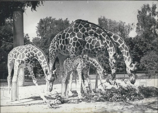 Press Photo Non English - Historic Images