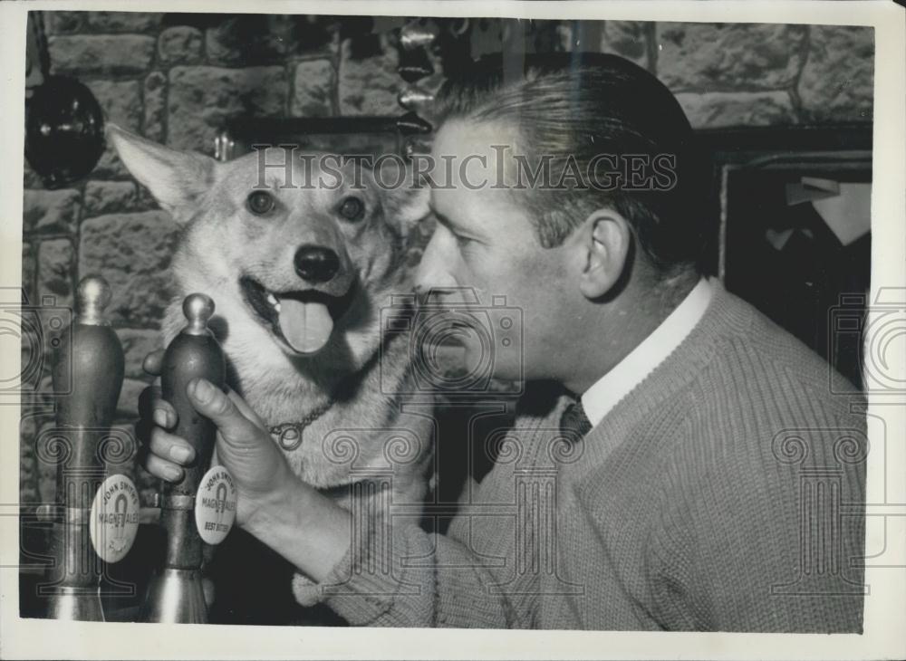 1960 Press Photo Corky The Talking Corgi - Historic Images