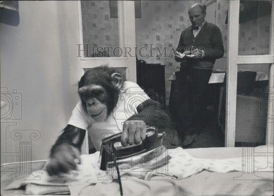 1967 Press Photo In training for a Domestic Job - Historic Images