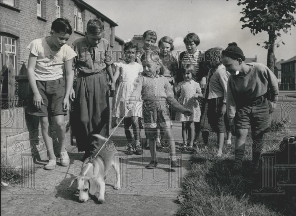 Press Photo Tony Gets A Walking Lesson - Historic Images