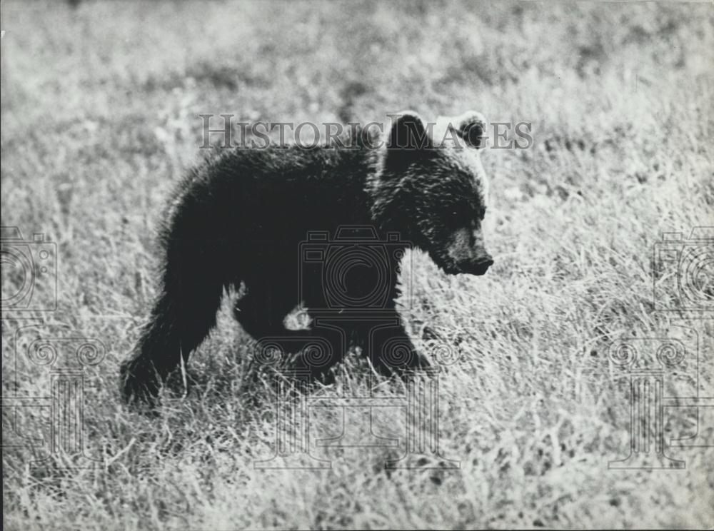 Press Photo Non English content - Historic Images