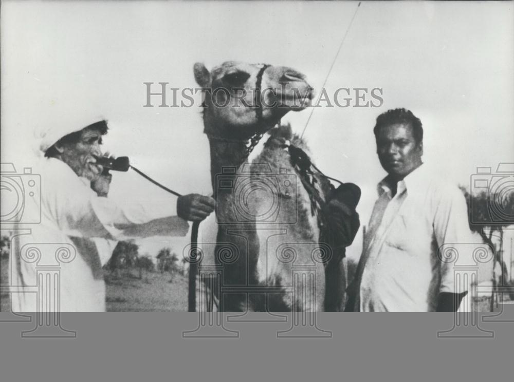 Press Photo Two Men With Camel - Historic Images