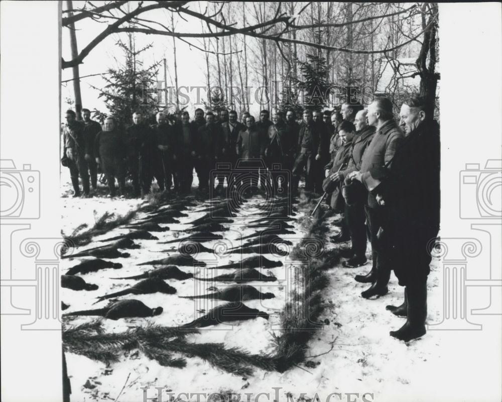 Press Photo Pheasant Shooting In Hungary - Historic Images