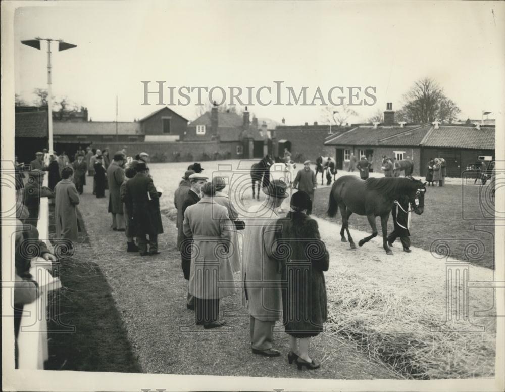 1955 Press Photo Opening of Newmarket Bloodstock Sales - Historic Images