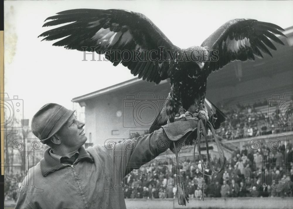 1968 Press Photo Man Displays Large Eagle - Historic Images