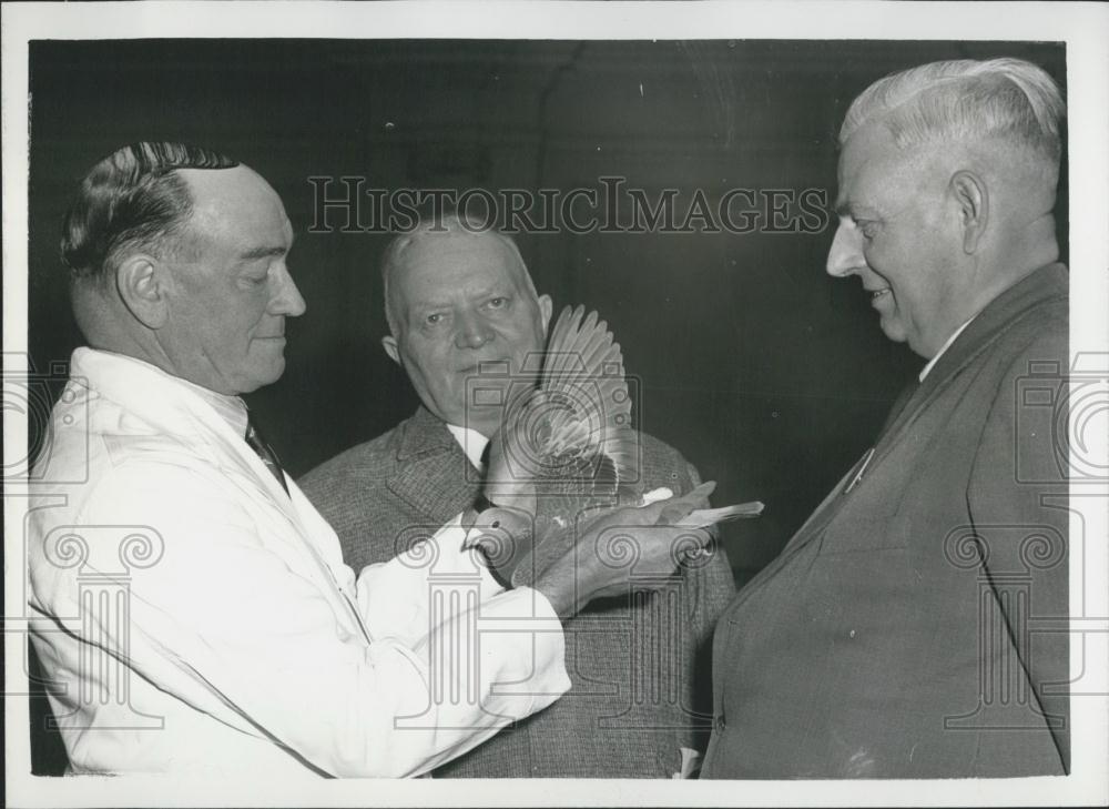 1956 Press Photo A.R. Smillie Judges Pigeons J. Luyten W. Otterpohl - Historic Images