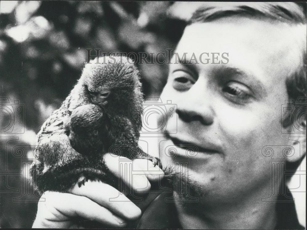 Press Photo Dwarf Silkmonkey with twins Skansen Zoo - Historic Images