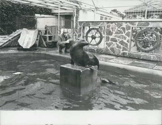 Press Photo Ken Jones Fights To Save Lives Of Baby Seals - Historic Images